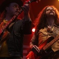 THE SHEEPDOGS 11