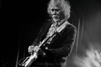 Java - Webster (UK)-(NL) - 2025 - 08