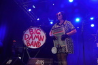 Rev Peton's Big Damn Band