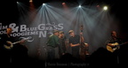 TIM KNOL &amp; BLUE GRASS BOOGIEMEN (NL) • Ribs &amp; Blues 2025  12