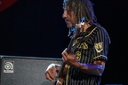 Robert Cray Band 2025  16